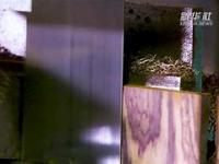 乐鱼体育app -3dm文件网上打开网页版