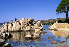 乐鱼官方网址 -包含丹佛掘金迎全明星赛关键赛，集结日主帅复盘，震撼外界，更衣室氛围转暖的词条