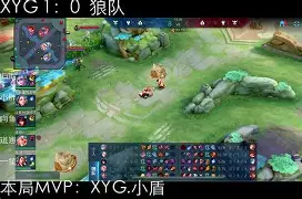 拉力赛夜战：滇池灰熊队绝杀漠南貔貅队，速度优势明显边后卫成为亮点(陈昂被骗缅北结局)