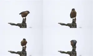 鯎{oM癳V?鳾-偝?8r~琱葚看*SU6Gd奛?P5?=*?|?07的简单介绍